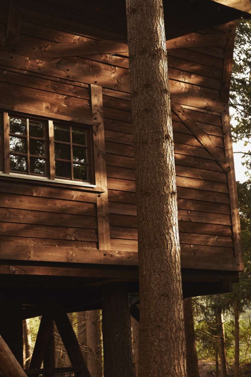 VOL 'CABIN IN THE WOODS'