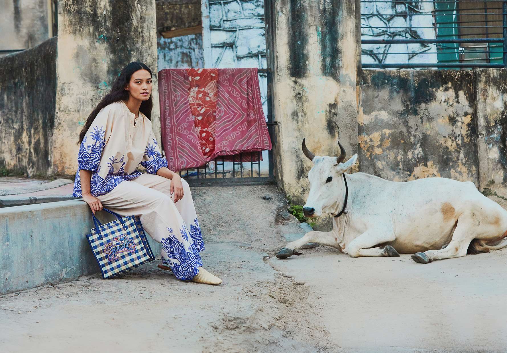 OILILY 'INDIA'